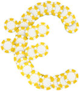 Poker Gratis Senza Soldi